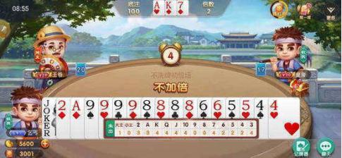 无敌边锋记牌器常见问题解答和功能说明