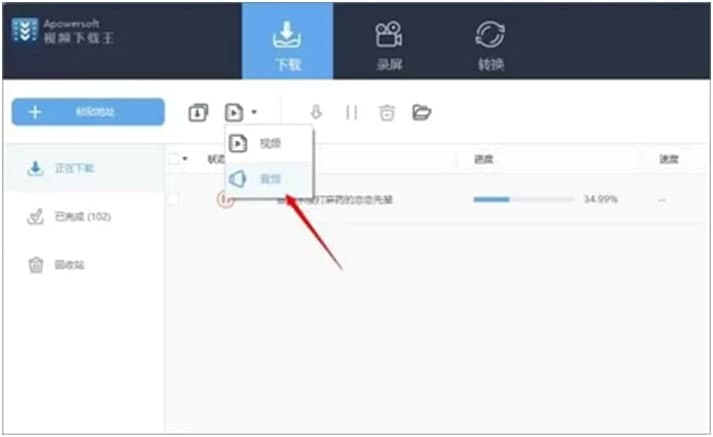 Apowersoft视频下载王的功能与使用方法