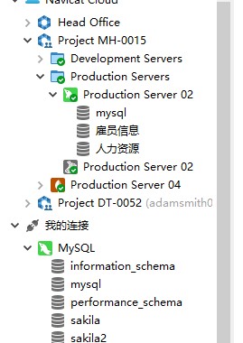 NavicatPremium官方下载服务器对象设置教学