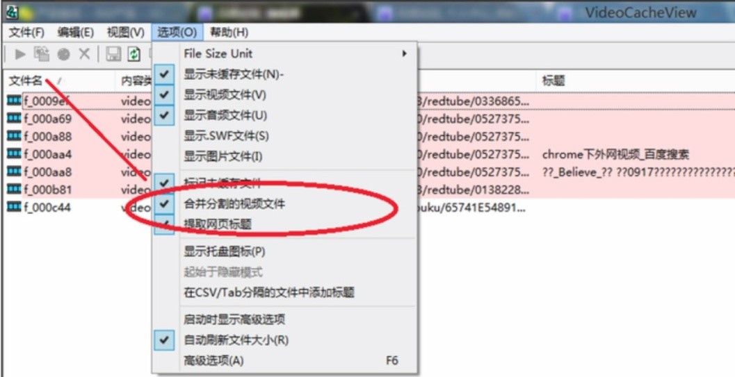 VideoCacheView软件的特色功能与常见问题解答