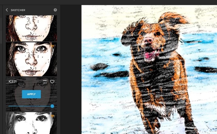 Image Cartoonizer Premium照片转素描教学