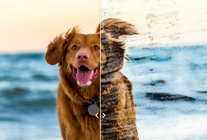 Image Cartoonizer Premium照片转素描教学