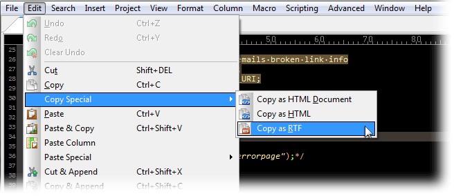UltraEdit在 RTF/HTML 中复制/粘贴语法突出显示教学