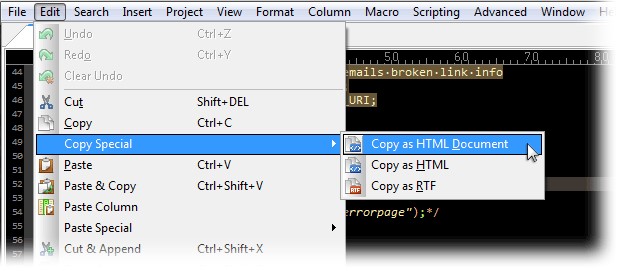 UltraEdit在 RTF/HTML 中复制/粘贴语法突出显示教学