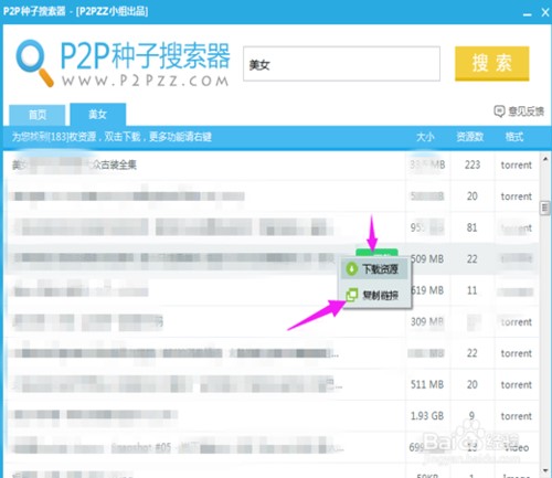 P2P种子搜索器新手入门级安装教程和功能介绍