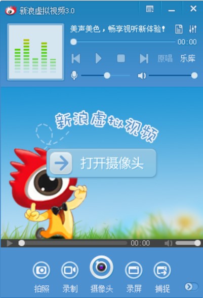 什么是新浪虚拟视频？