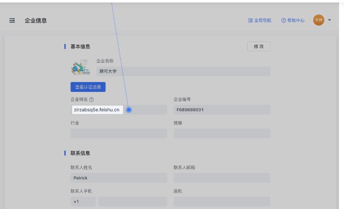 飞书电脑版管理员修改域名图文教学