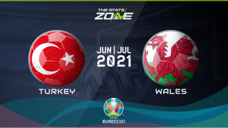 图：欧洲足球锦标赛2020 土耳其 VS 威尔士