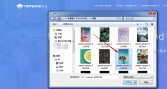 Removebg免费破解版软件特色及抠图教程