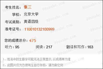 99客服软件软件说明和常见问题解答