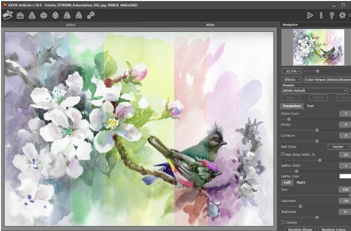 AKVIS Watercolor官方下载工作区操作教学