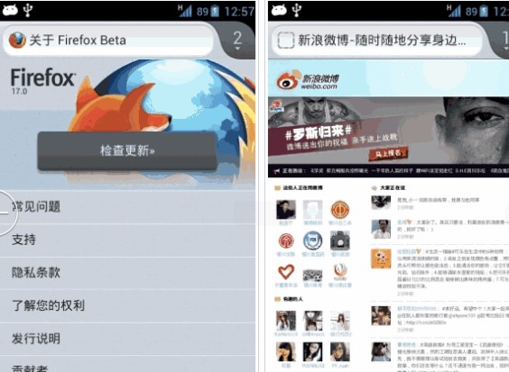 火狐浏览器软件详细介绍