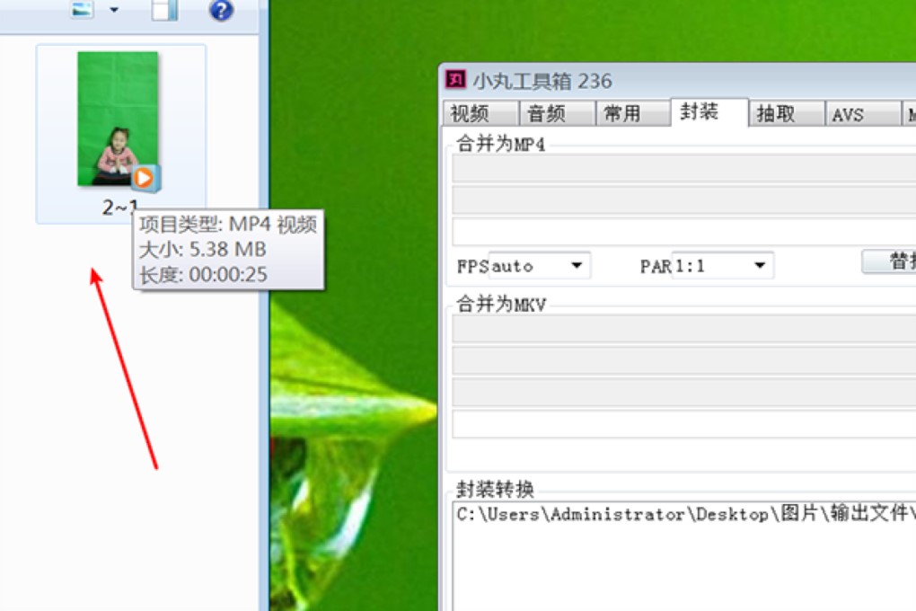 小丸工具箱新手指南