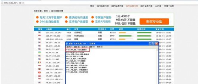怎么使用花刺代理