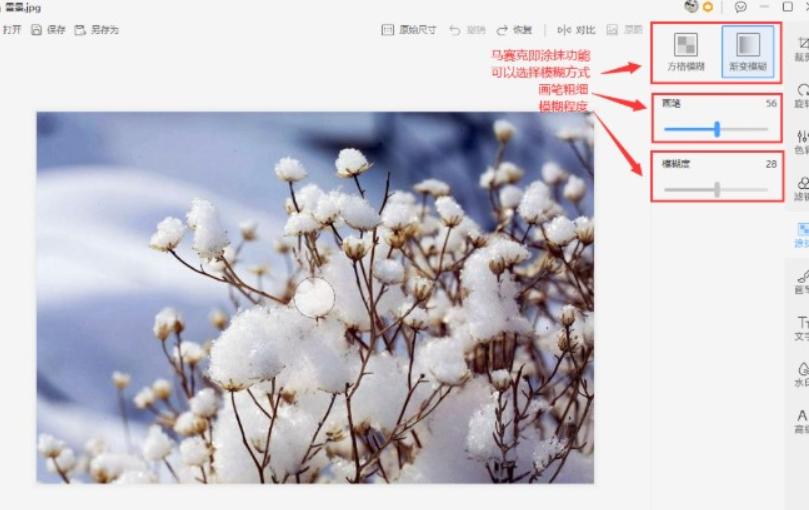 WPS图片如何压缩添加马赛克