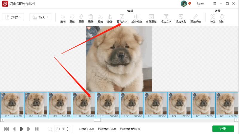 闪电GIF制作使用操作