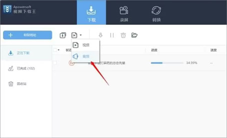 Apowersoft视频下载王的功能使用方法