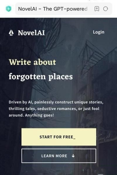 novelai图像生成的内部测试地址是什么 novelai内测地址分享[多图]图片4