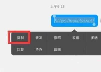 novelai图像生成的内部测试地址是什么 novelai内测地址分享[多图]图片2