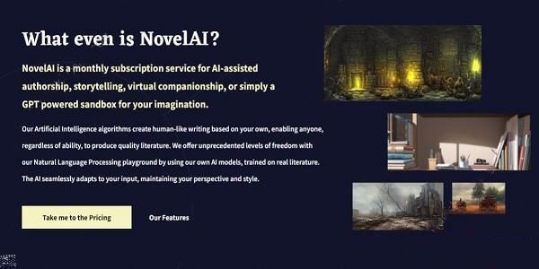 novelai图像生成的内部测试地址是什么 novelai内测地址分享[多图]图片1