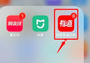 图：有道词典