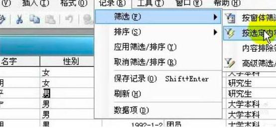access数据库按选定内容筛选记录的教程