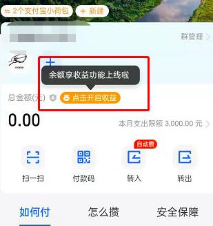 支付宝小荷包怎么开启收益