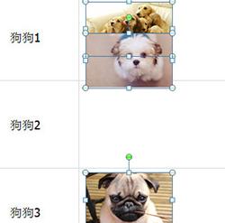 Excel怎么批量导入图片