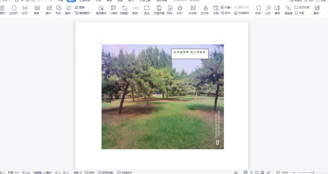 Word文档中怎么在图片上添加文字