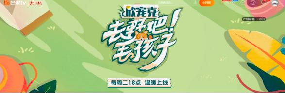 芒果TV会员可以同时几个人用