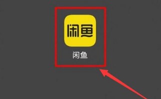 图：闲鱼