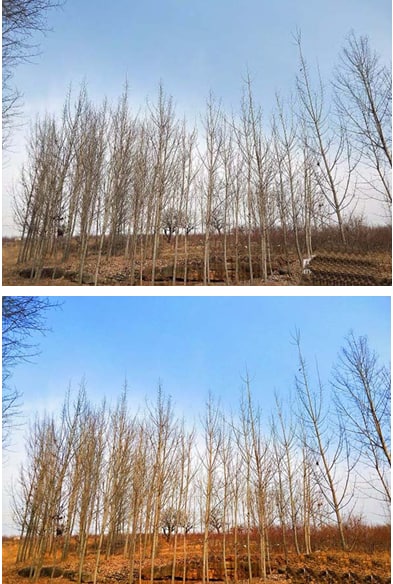 图：美图秀秀