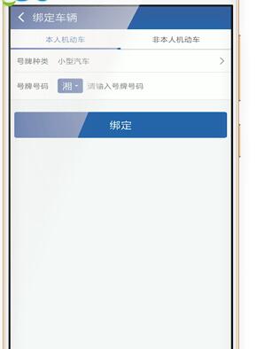 图：交管12123