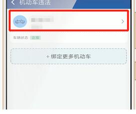 图：交管12123