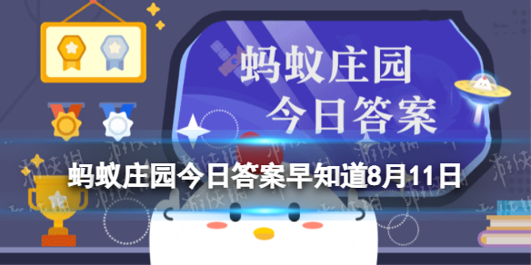 图：如果在野外挖到魔芋块茎，可以生吃吗-蚂蚁庄园今日答案8月11日