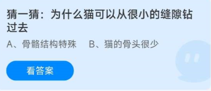 图：《蚂蚁庄园》8.18为什么猫可以从很小的缝隙钻过去
