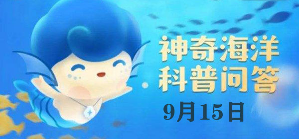 神奇海洋今日答案9.15：猜一猜：海洋贝类“砗磲”的得名源于什么？