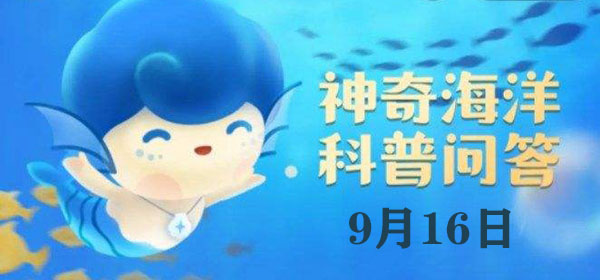 神奇海洋今日答案9.16：以下关于海洋鱼类的描述正确的是