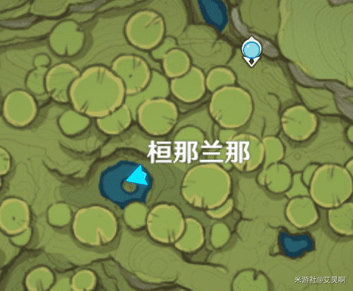 图：原神桓那兰那拍摄攻略