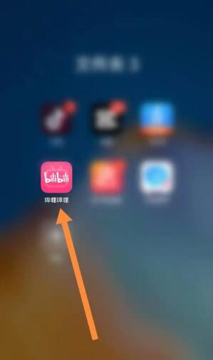 图：哔哩哔哩怎么查看数据中心 哔哩哔哩查看数据中心方法