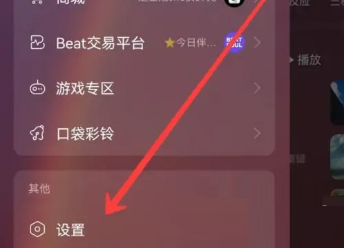 图：网易云音乐怎么开启流量播放 网易云音乐开启流量播放方法