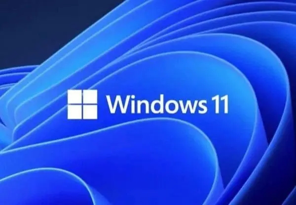 图：win11摄像头打开了显示不出画面怎么回事？